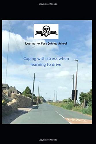 Coping with Stress when Learning to Drive