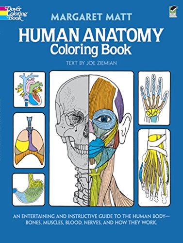 Human Anatomy Coloring Book: an Entertaining and Instructive Guide to the Human Body - Bones. Muscles. Blood. Nerves and How They Work (Coloring Boo