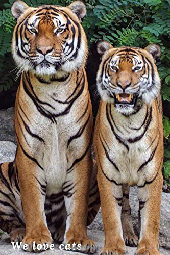 We love cats: Cat Notebook. Journal. Diary (110 Pages. Lined. 6 x 9)